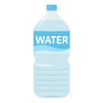 Bottle of Water (500 mL)
